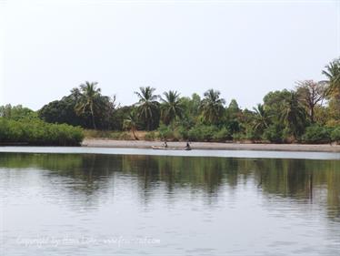 Gambia 05 Ausflug ins Saloum-Delta und zur Insel Ginack,_DSC00887b_B740